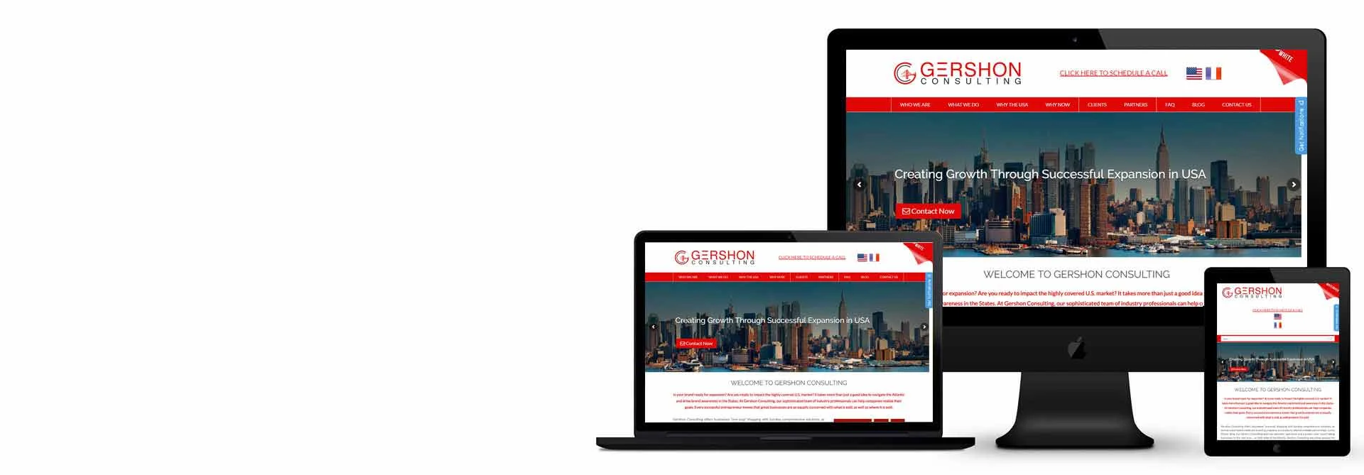 WordPress development, design and development services, top-quality service, website preview, website enhancements,